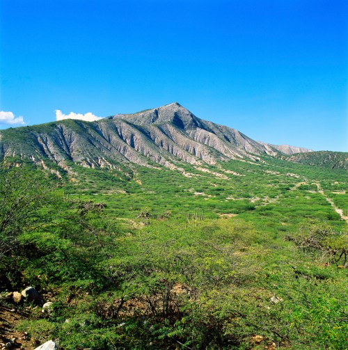 Looks like a great place to hike