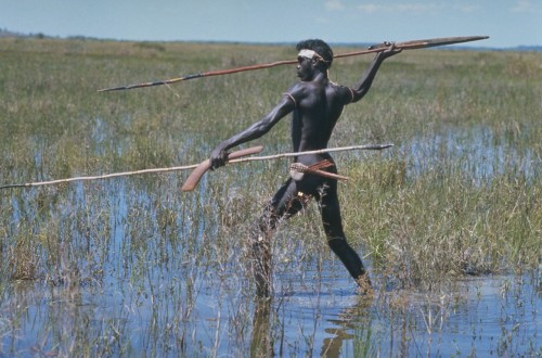Australian Aborigine in Swamp Darwin