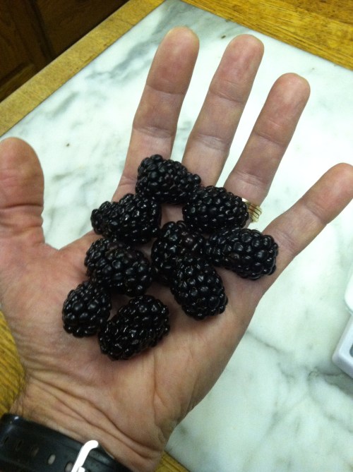 low-carb diet, diabetic diet, paleobetic diet