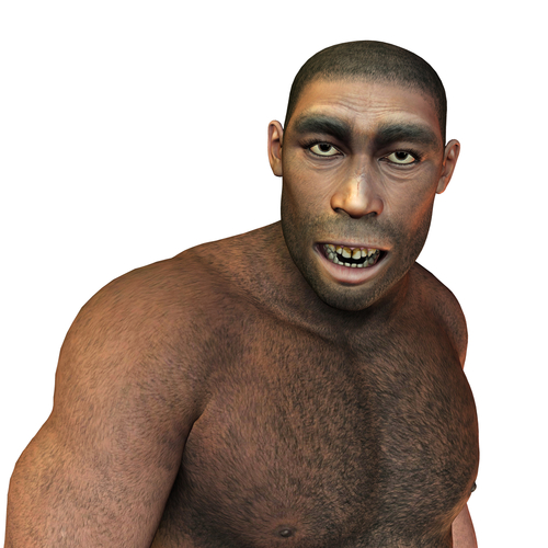 "I ate well over 70 grams of fiber daily!"