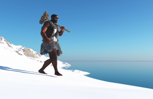 shutterstock_253272682